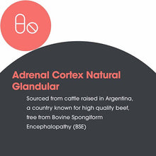 Adrenal Cortex Natural Glandular, by Allergy Research Group, image #5