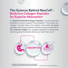 NeoCell collagen peptides supplement packaging showing product information with absorption icons and digestive system illustr