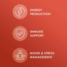 Ashwagandha Organic, 60 Capsules, by Dr. Mercola, image #3