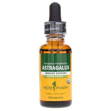 Astragalus Extract, by Herb Pharm
