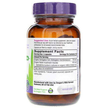 Astragalus Reishi, by Oregons Wild Harvest, image #2