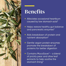 Betaine HCl Fast-Acting, 120 Capsules, by Enzymedica, image #4