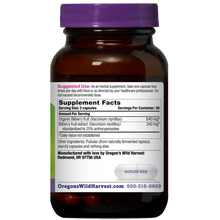 Bilberry, 60 Vegan Capsules, by Oregons Wild Harvest