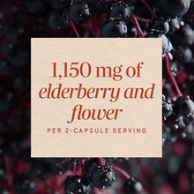 Black Elderberry, by Natures Way