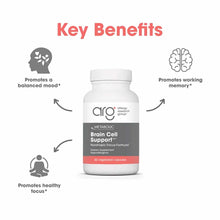 Brain Cell Support, 60 Capsules, by Allergy Research Group