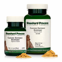 Canine Enteric Support, by Standard Process