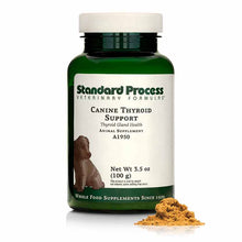 Canine Thyroid Support, 100 Grams, by Standard Process