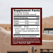 ChlorOxygen Liquid Mint, 1 Oz, by Herbs, Etc, image #2