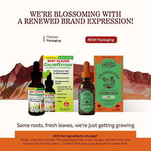 ChlorOxygen Liquid Mint, 1 Oz, by Herbs, Etc, image #3