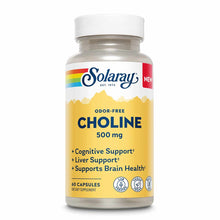 Solaray Choline 500mg odor-free supplement bottle containing 60 capsules with white cap.