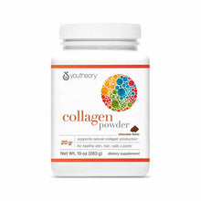 Collagen Powder Chocolate, 10 Oz, by Youtheory