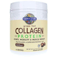 Collagen Protein, Chocolate, by Garden of Life