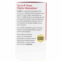 CoQ10 Chewable, by Terry Naturally, image #4