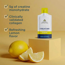 Creatine + Collagen Gel, by Ancient Nutrition