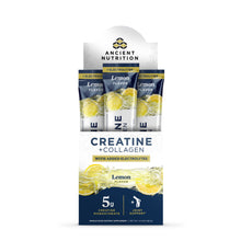 Creatine Plus Collagen Plus Electrolyte Stick Packs, by Ancient Nutrition