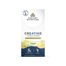 Creatine Plus Collagen Plus Electrolyte Stick Packs, by Ancient Nutrition