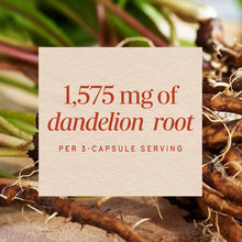 Cream-colored label displaying "1,575 mg of dandelion root per 3-capsule serving" overlaid on dried dandelion roots and green