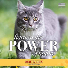 Dander Reducing Wipes for Cats, 50 Wipes, by Burt's Bees Pets, image #5