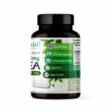 Brown glass bottle with black cap containing vegan capsules, labeled with green and white bands listing Clinical Potency, Non