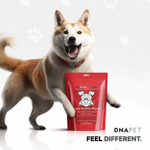 DNA PET Happy Healthy Muscles Powder for Dogs, by Codeage, image #6