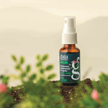 Echinacea Goldenseal Propolis Throat Spray, by Gaia Herbs