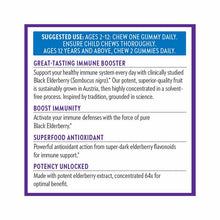 Elderberry Organic Gummies, 60 Gummies, by New Chapter, image #3