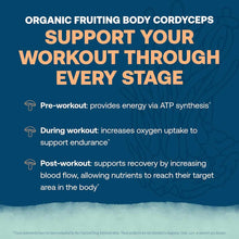 Blue background with orange and white text describing cordyceps benefits for pre-workout, during workout, and post-workout st