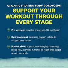 Blue background with white and yellow text describing organic fruiting body cordyceps workout support benefits in three stage