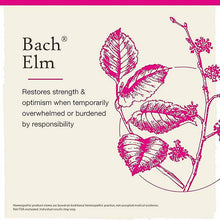 Elm Flower Essence, by Bach Flower Remedies, image #2