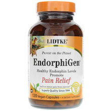 EndorphiGen Pain Relief, 120 Vegan Capsules, by Lidtke