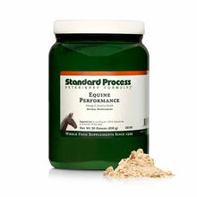 Equine Performance, by Standard Process
