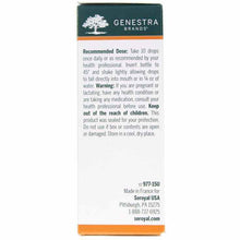European Mistletoe Young Shoot, by Genestra, image #3