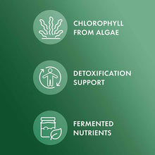 Fermented Chlorella, 450 Tablets, by Dr. Mercola, image #3