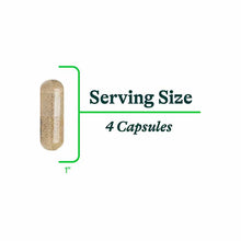 Bile Nutrients, by Seeking Health, image #6