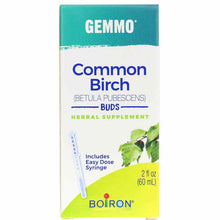 Gemmo Common Birch - Buds, by Boiron