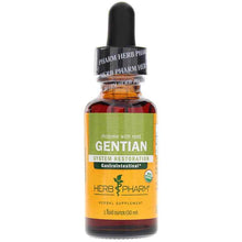 Gentian Extract, by Herb Pharm