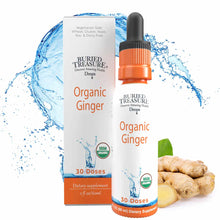 Organic Ginger Extract, 2 Oz, by Buried Treasure