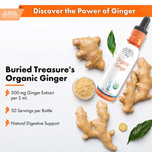 Organic Ginger Extract, 2 Oz, by Buried Treasure