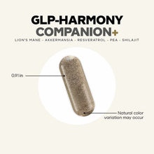 Tan capsule supplement measuring 0.91 inches, containing lion's mane, akkermansia, resveratrol, pea, and shilajit.
