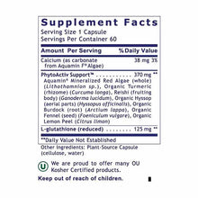 Glutathione Complex, by Premier Research Labs, image #4