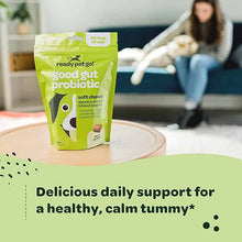 Good Gut Probiotic Chews, Cheese, 60 Chews, by Ready Pet Go!, image #5