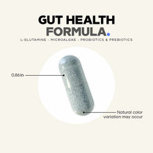 Gut Health Formula, by Codeage
