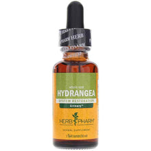 Hydrangea Extract, 1 Oz, by Herb Pharm