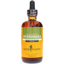 Hydrangea Extract, by Herb Pharm