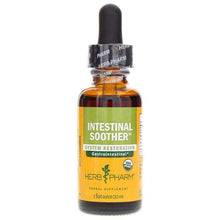 Intestinal Soother, 1 Oz, by Herb Pharm