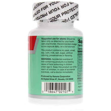 Iron Plus, by Karuna, image #2