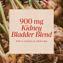 Cream-colored label displaying "900 mg Kidney Bladder Blend Per 2-Capsule Serving" in red text over botanical background.