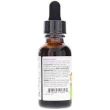 Kids Echinacea Goldenseal Extract, by Oregons Wild Harvest, image #3