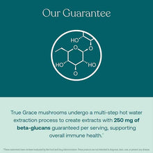 Lion's Mane, 60 Vegan Capsules, by True Grace, image #4