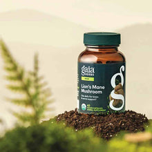 Lion's Mane Mushroom Brain & Nerve Support, 40 Vegan Capsules, by Gaia Herbs, image #5
